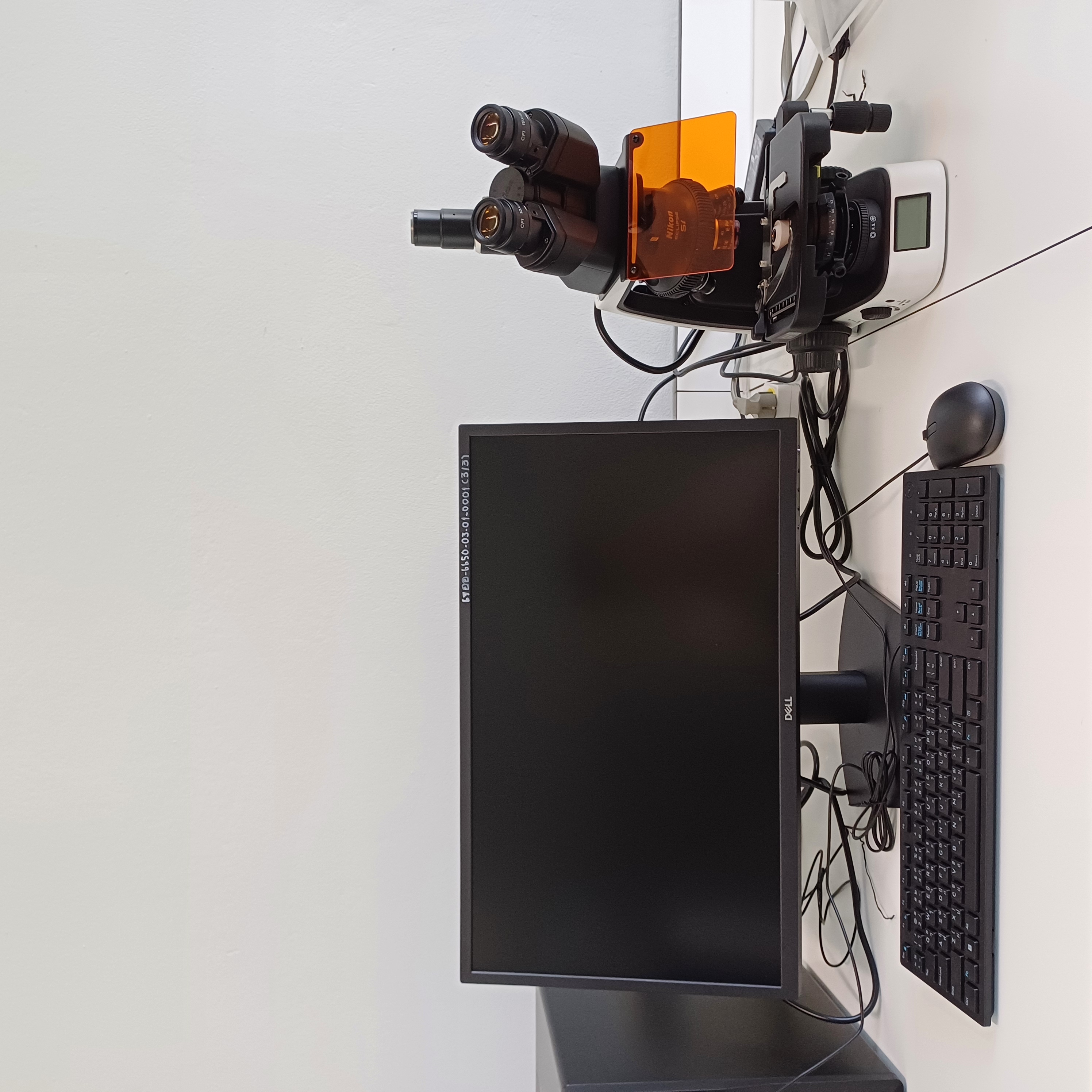 Microscope with digital camera 