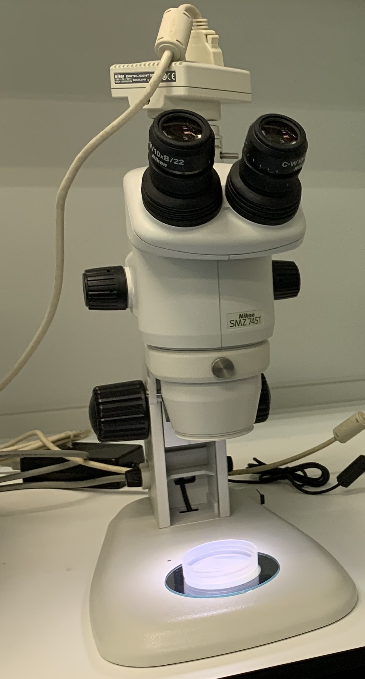 Stereoscopic microscope