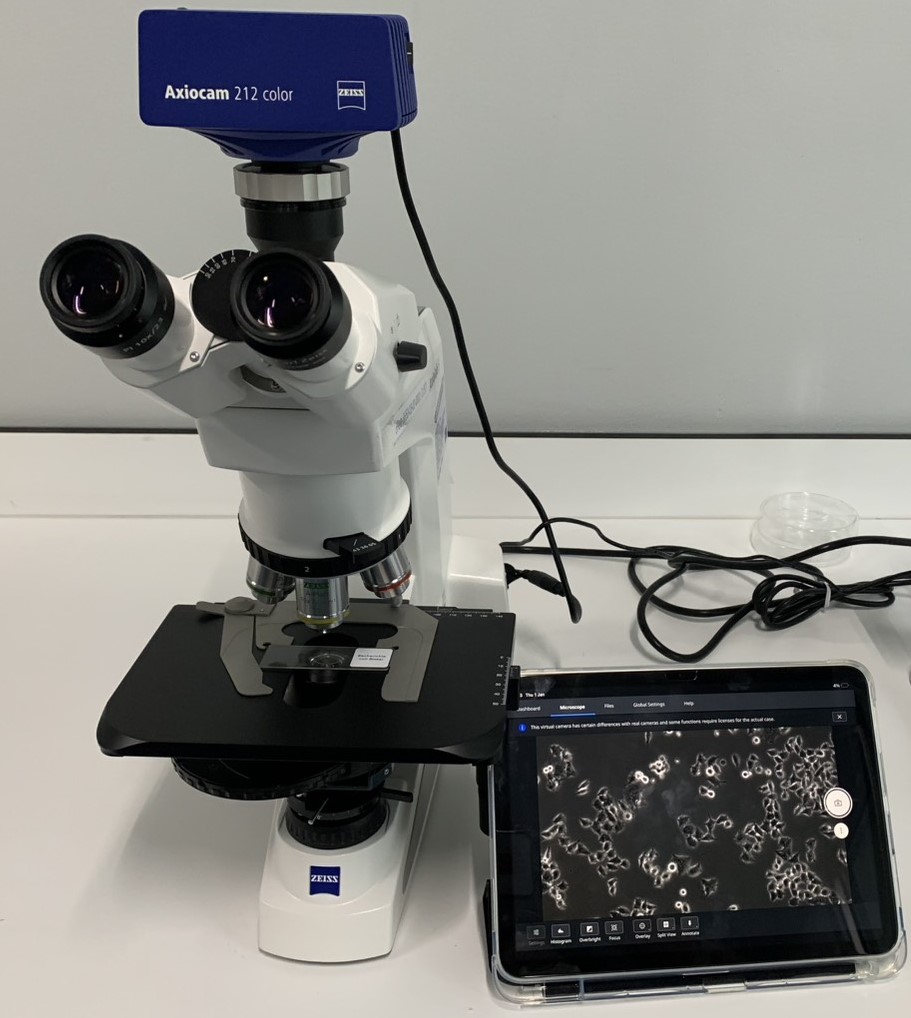 Microscope with digital camera(phase contrast)
