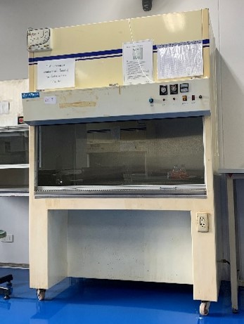 Biological Safety Cabinet3 (Fungi)
